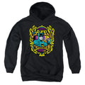 DC Comics Appearing Tonight Youth Hoodie