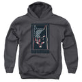 Batman American Batman Youth Hoodie