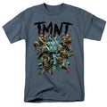 Teenage Mutant Ninja Turtles Feudal Japan T-Shirt