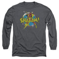 DC Comics Power Bolt Long Sleeve T-Shirt