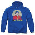 The Flash Faded Circle Pullover Hoodie
