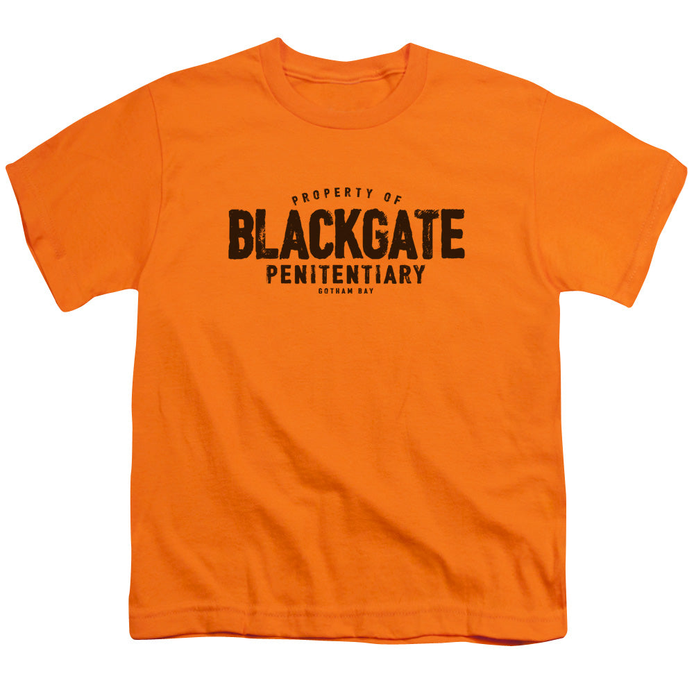 Batman Blackgate Youth/Toddler T-Shirt