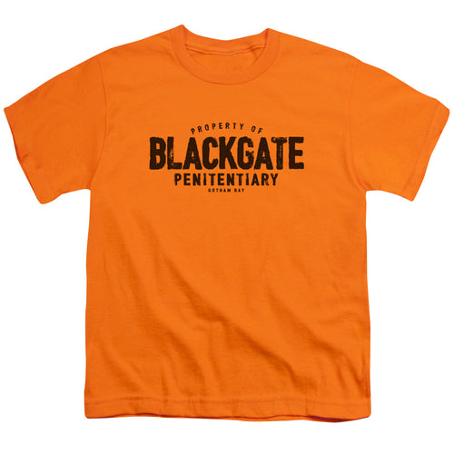 Batman Blackgate Youth/Toddler T-Shirt
