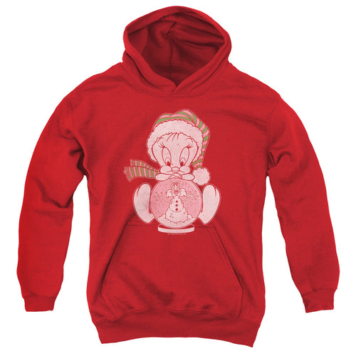 Looney Tunes Tweey Globe Youth Hoodie