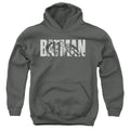 The Batman Text on Gray Youth Hoodie