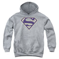 Superman Navy & Gold Shield Athletic Heather Youth Hoodie