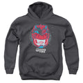 Mighty Morphin Power Rangers: The Movie Its Morphin Time Youth Hoodie