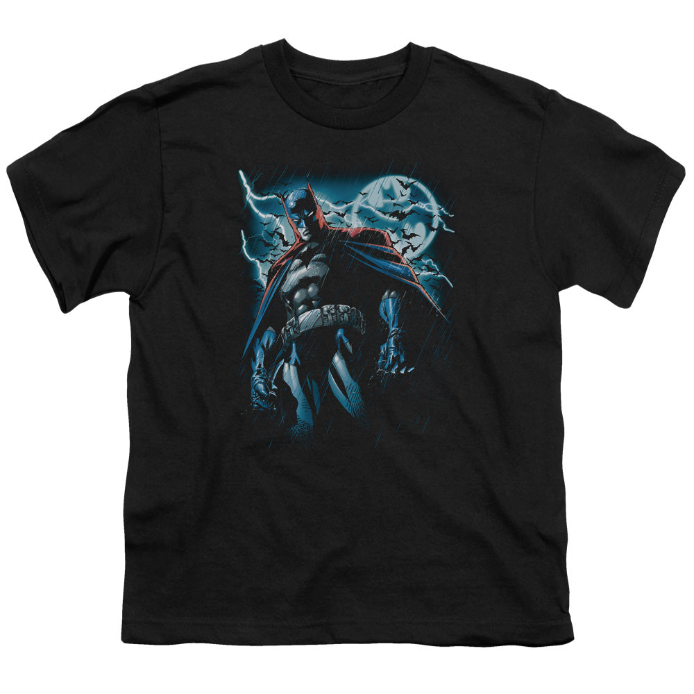 Batman Stormy Knight Youth/Toddler T-Shirt