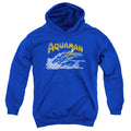 DC Comics Aqua Swim Youth Hoodie