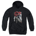 Batman v Superman Choke Youth Hoodie