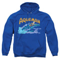 DC Comics Aqua Swim Pullover Hoodie