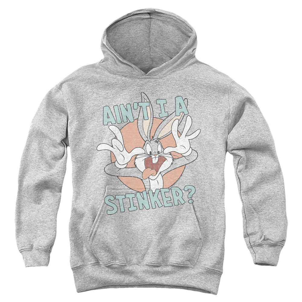 Looney Tunes Aint I A Stinker Youth Hoodie