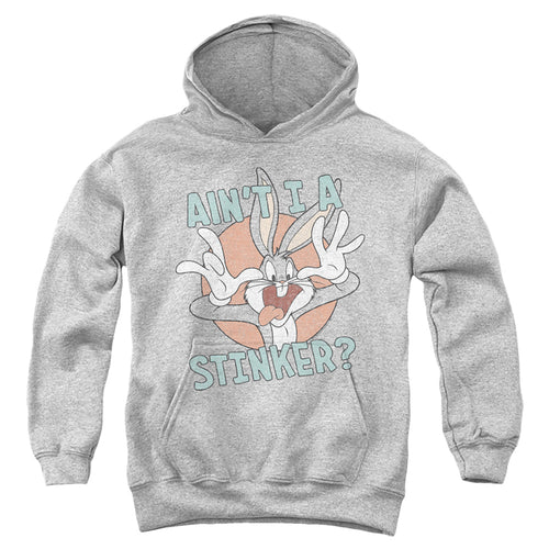 Looney Tunes Aint I A Stinker Youth Hoodie