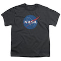 NASA Meatball Logo Distressed Youth/Toddler T-Shirt