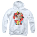 Looney Tunes Group Characters Youth Hoodie