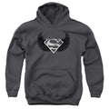 Superman Dirty Wings Youth Hoodie
