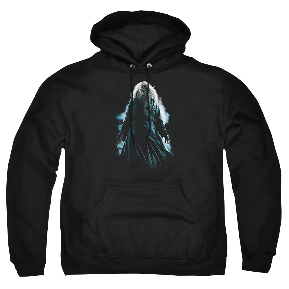 Harry Potter Dumbledore Burst Pullover Hoodie