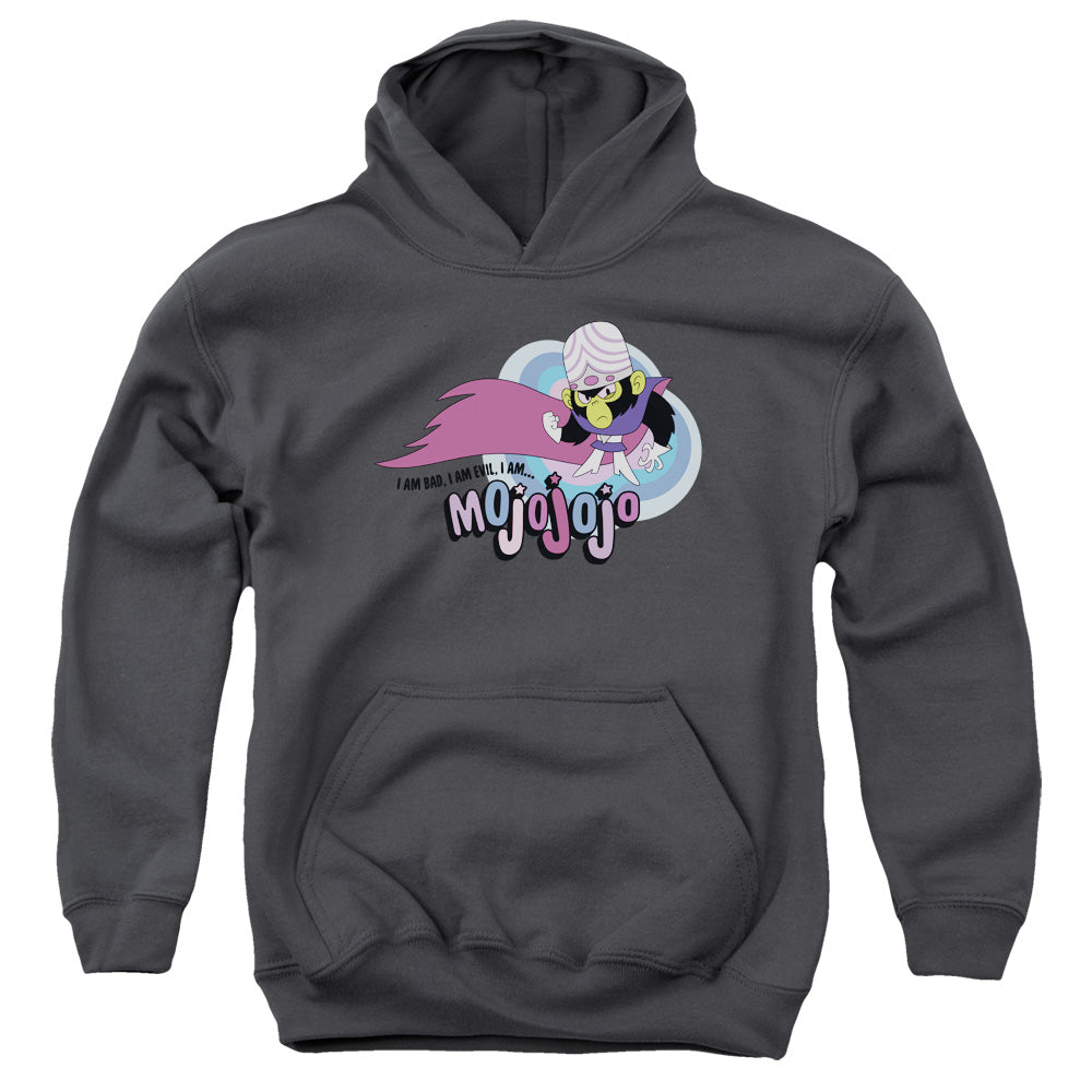 The Powerpuff Girls Mojo Jojo I Am Bad, I Am Evil Youth Hoodie