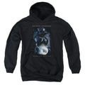 Batman v Superman Signal Youth Hoodie