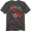 Dungeons & Dragons How I Roll D and D T-Shirt