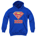 Superman Super Kid Youth Hoodie