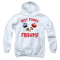 Sesame Street Best Furry Friends Youth Hoodie