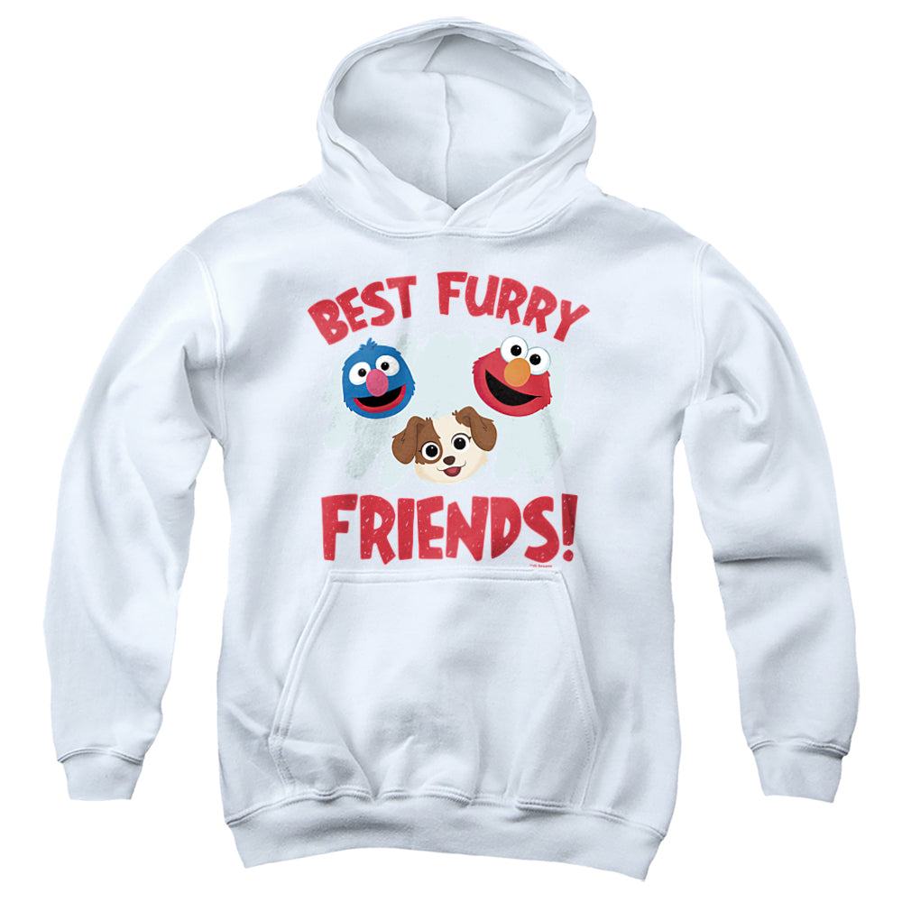 Sesame Street Best Furry Friends Youth Hoodie