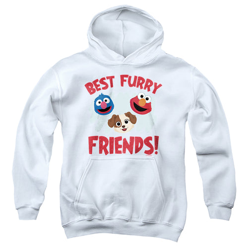 Sesame Street Best Furry Friends Youth Hoodie