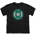DC Comics Hand Me Down Youth/Toddler T-Shirt