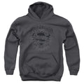 Superman Scrolling Shield Youth Hoodie