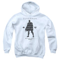 Superman Paisley Sihouette Youth Hoodie