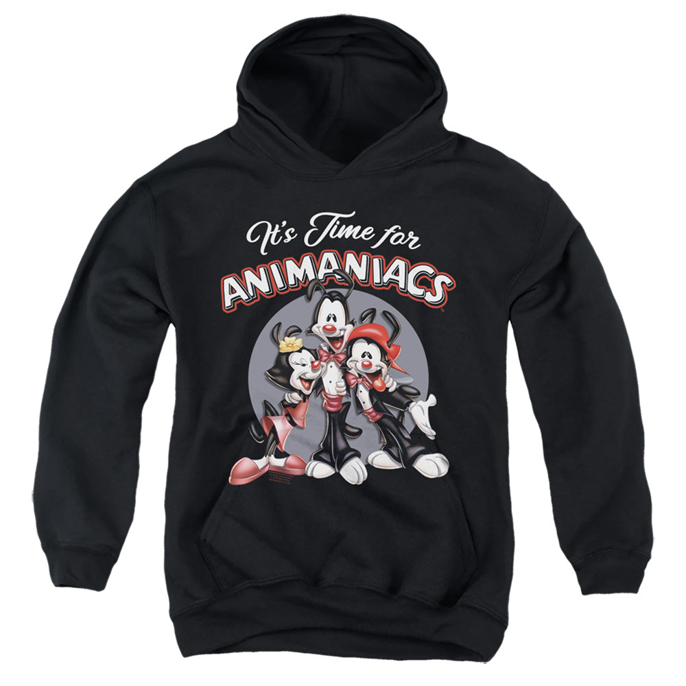 Animaniacs Its Time For Youth Hoodie