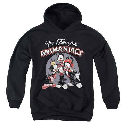 Animaniacs Its Time For Youth Hoodie