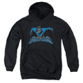 Batman Wing Of The Night Youth Hoodie