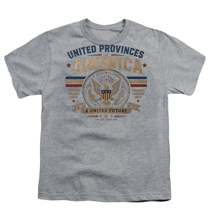 United Provinces of America Gray