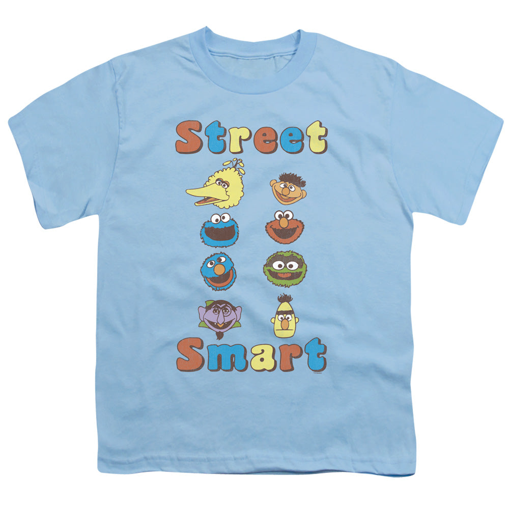 Sesame Street Street Smart Youth/Toddler T-Shirt