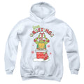 Teenage Mutant Ninja Turtles Green Greetings Christmas Scene Youth Hoodie