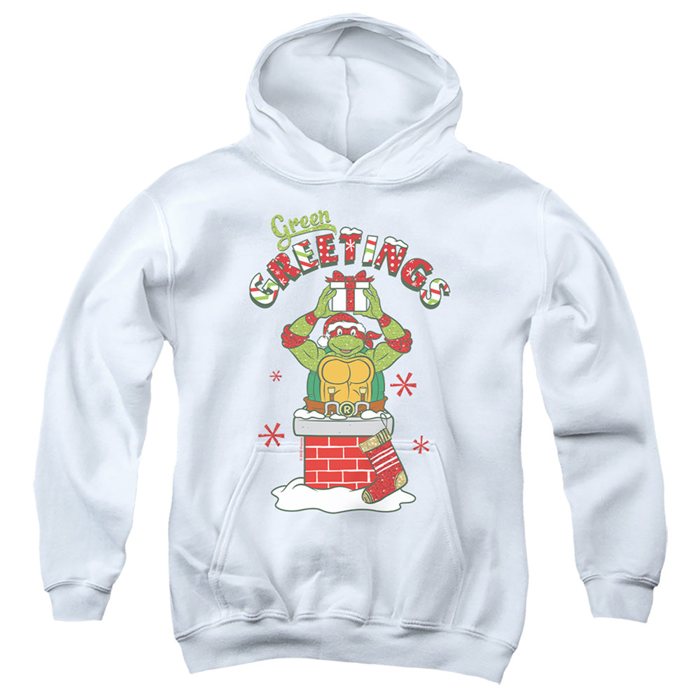 Teenage Mutant Ninja Turtles Green Greetings Christmas Scene Youth Hoodie