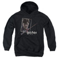 Harry Potter Harrys Wand Portrait Youth Hoodie