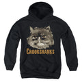 Harry Potter Crookshanks Youth Hoodie