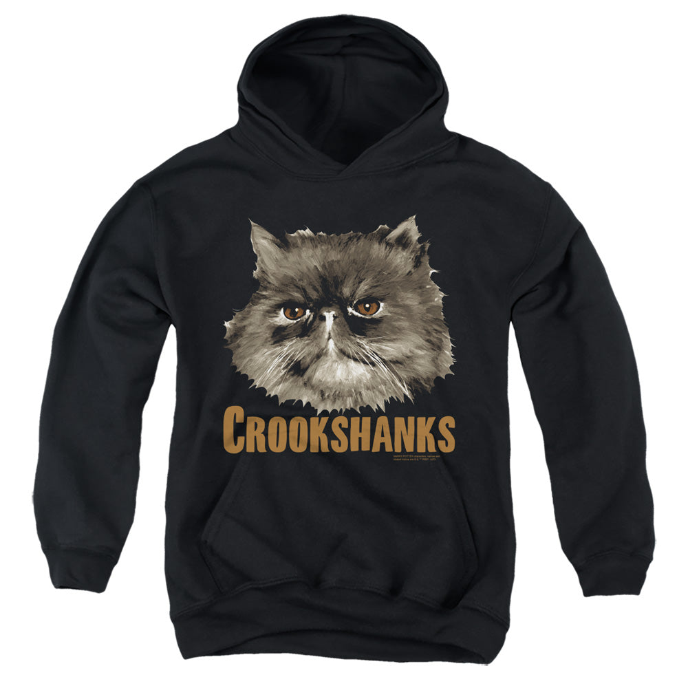 Harry Potter Crookshanks Youth Hoodie