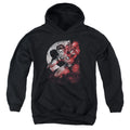 Batman Robin Spotlight Youth Hoodie