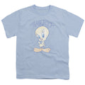 Looney Tunes Tweety Fade Youth/Toddler T-Shirt