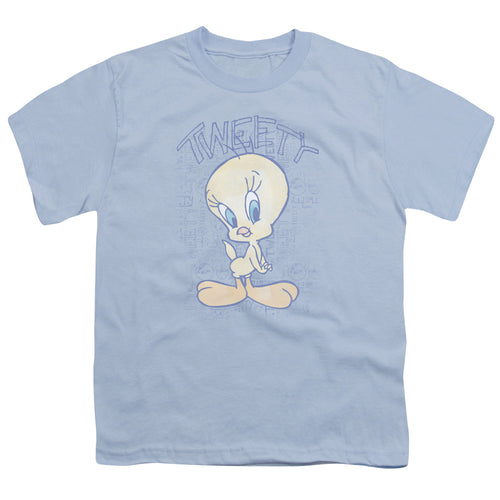Looney Tunes Tweety Fade Youth/Toddler T-Shirt