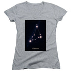 Capricorn Stars Gray