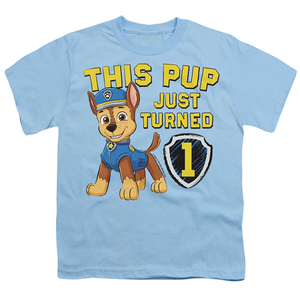 Paw Patrol This Pup's Birthday Youth/Toddler T-Shirt