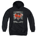 Batman v Superman Batman Poster Youth Hoodie