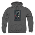Batman American Batman Pullover Hoodie