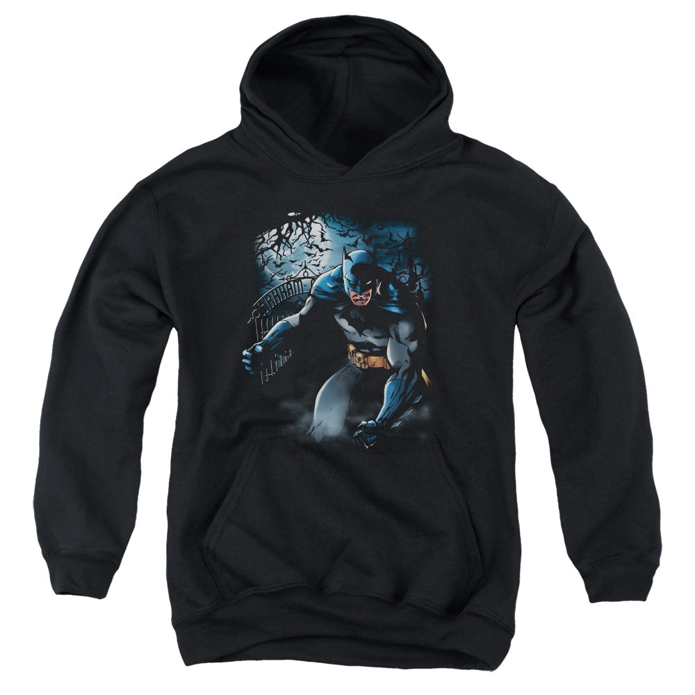 Batman Light Of The Moon Youth Hoodie