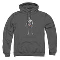 Rocky Stand Alone Pullover Hoodie